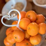 Rendez Vous シャティヨン