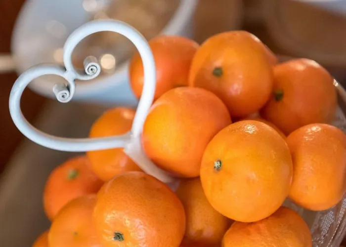 Rendez Vous シャティヨン